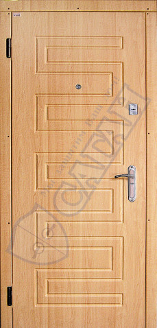 Входные двери серии "КЛАССИК"  модель 119